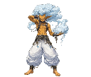 Custom Animation
