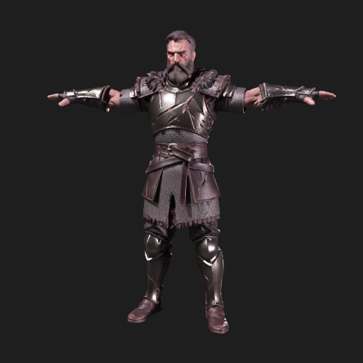 Battle-Scarred Mercenary