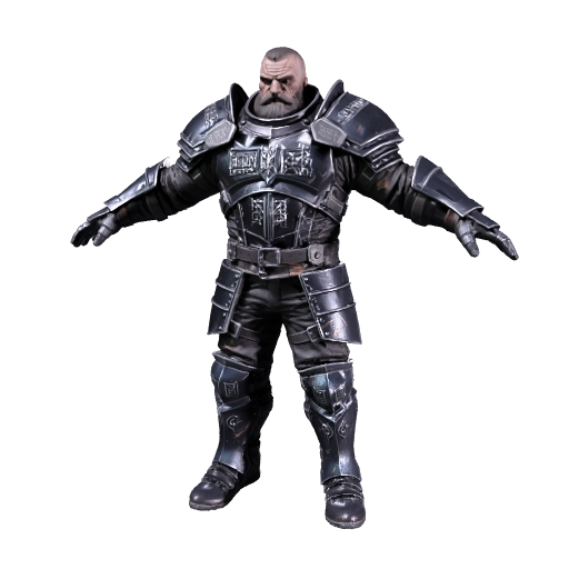 Biker Knight
