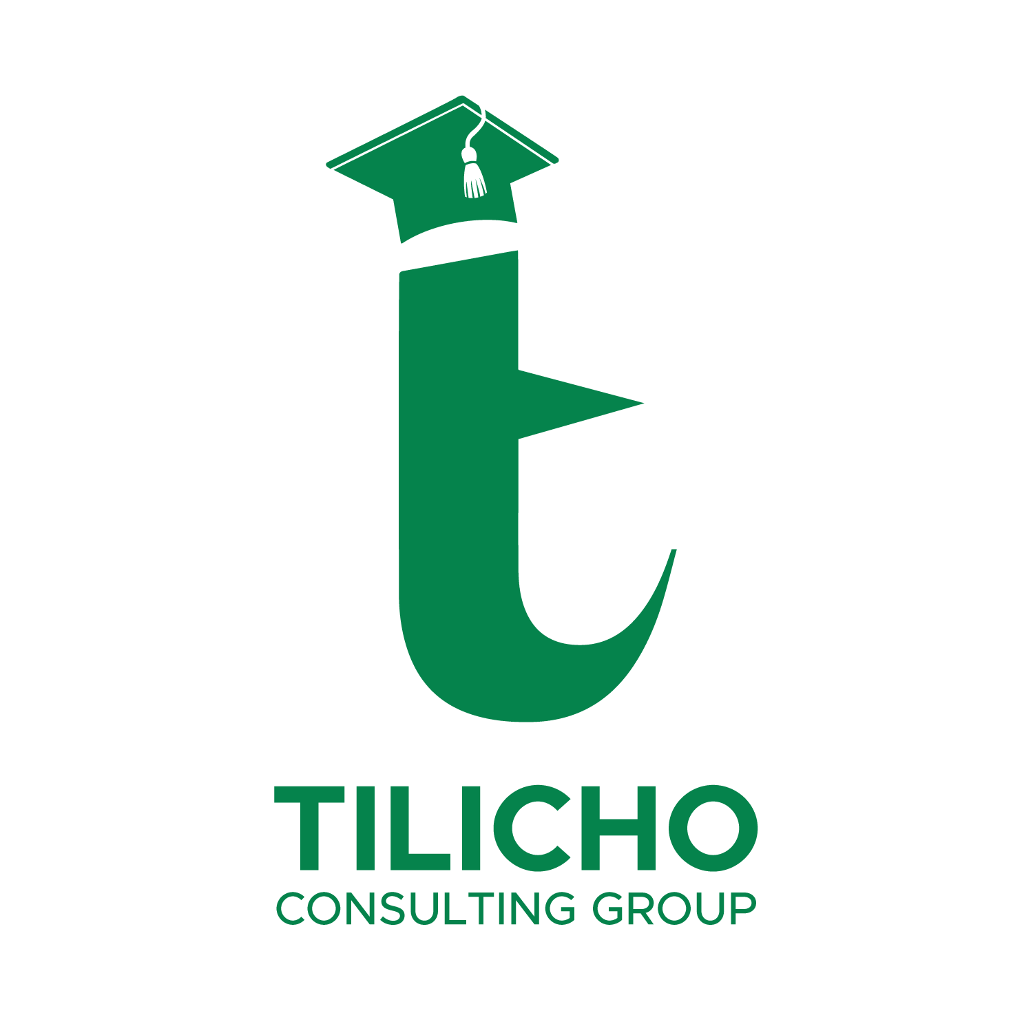 CSIT - BMC Partner