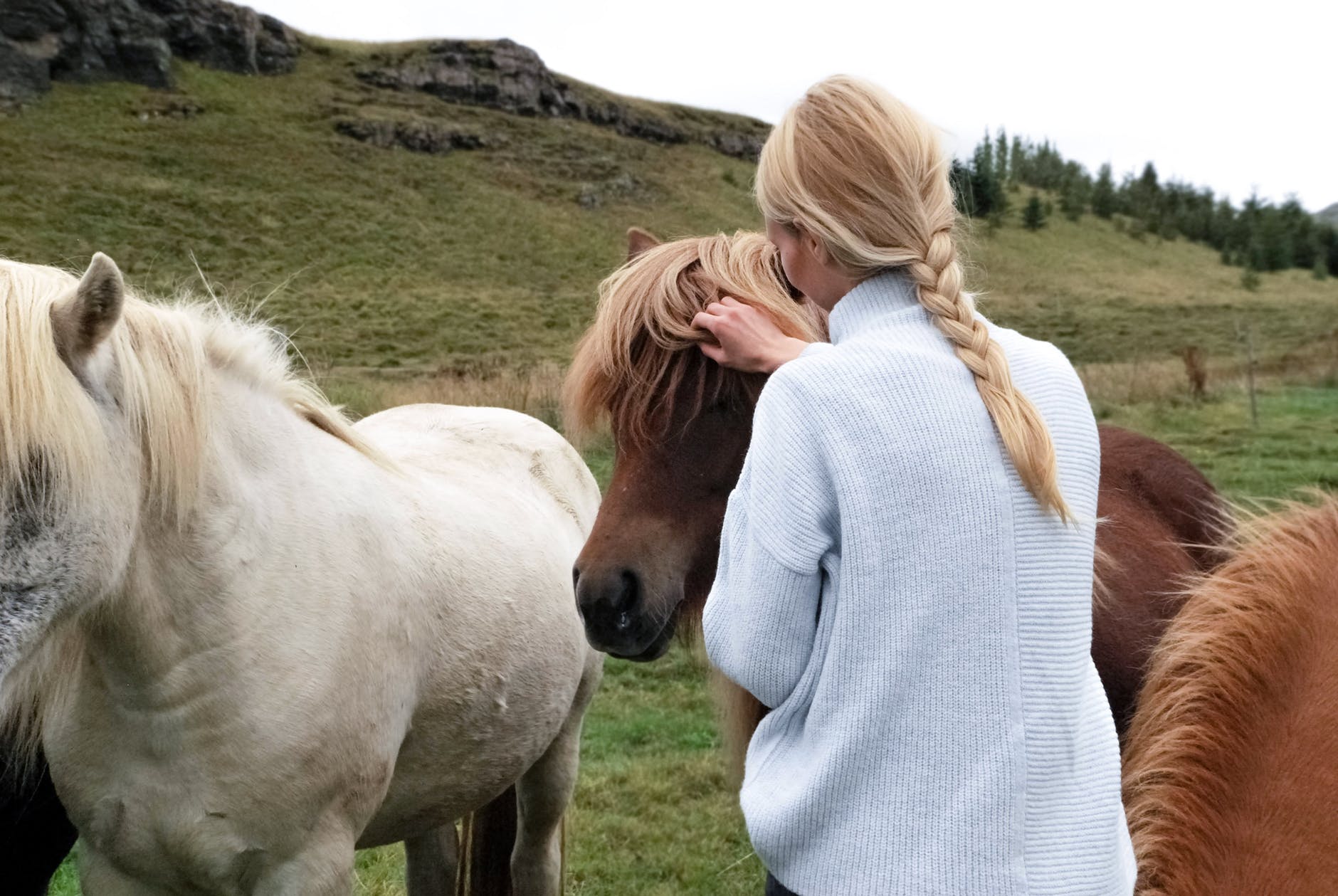 Emotional Support Animal designation surprisingly does include ponies!