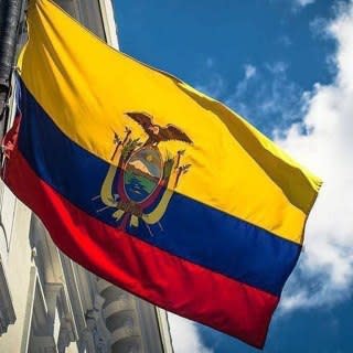 LOS PASIVO INGRESO