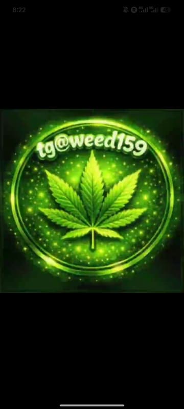 🚀tg@weed159🚀亞洲最大Tg大麻420專門店(台灣中國大陸香港)(mdma迷幻蘑菇thc油LSD)Telegram