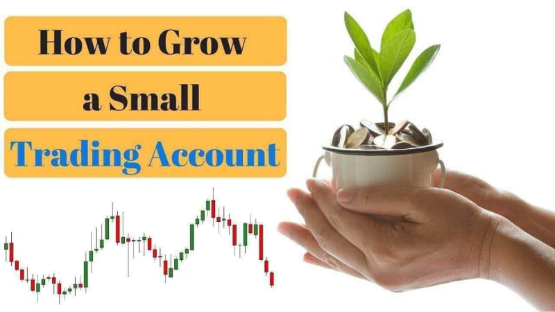 daily good signals Forex