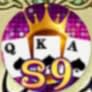 s9 — business WhatsApp Group