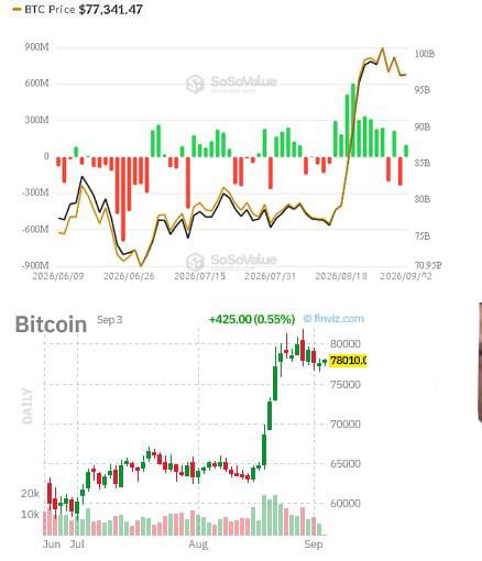 crypto alpha signals — crypto WhatsApp Group