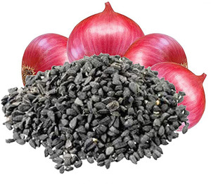 Premium Onion Seeds