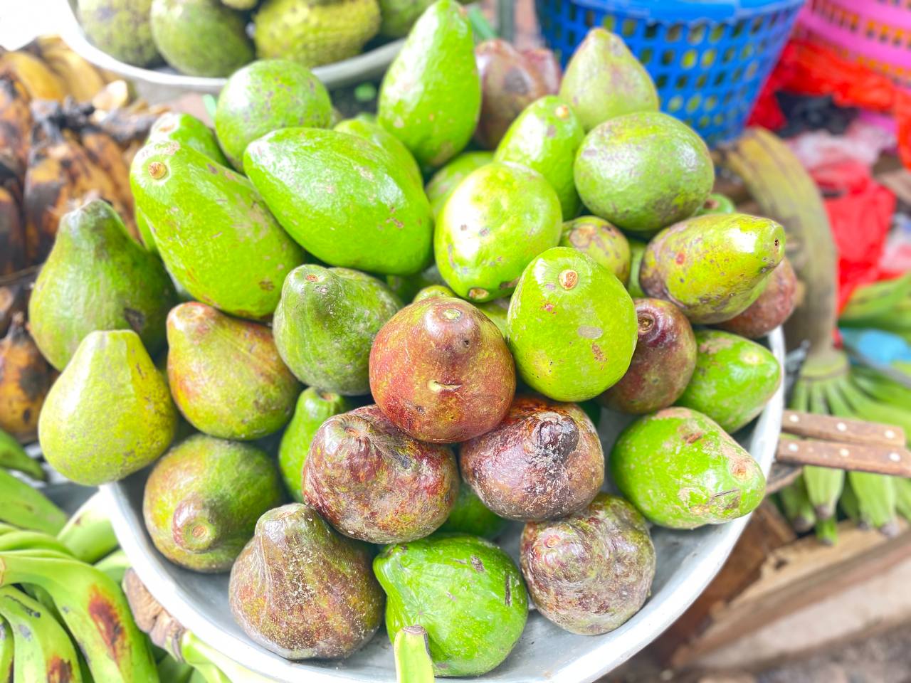 Avocado (Pear)