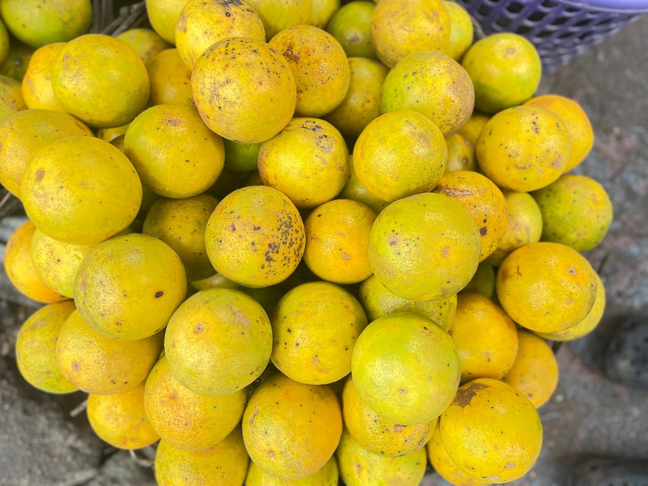 Oranges