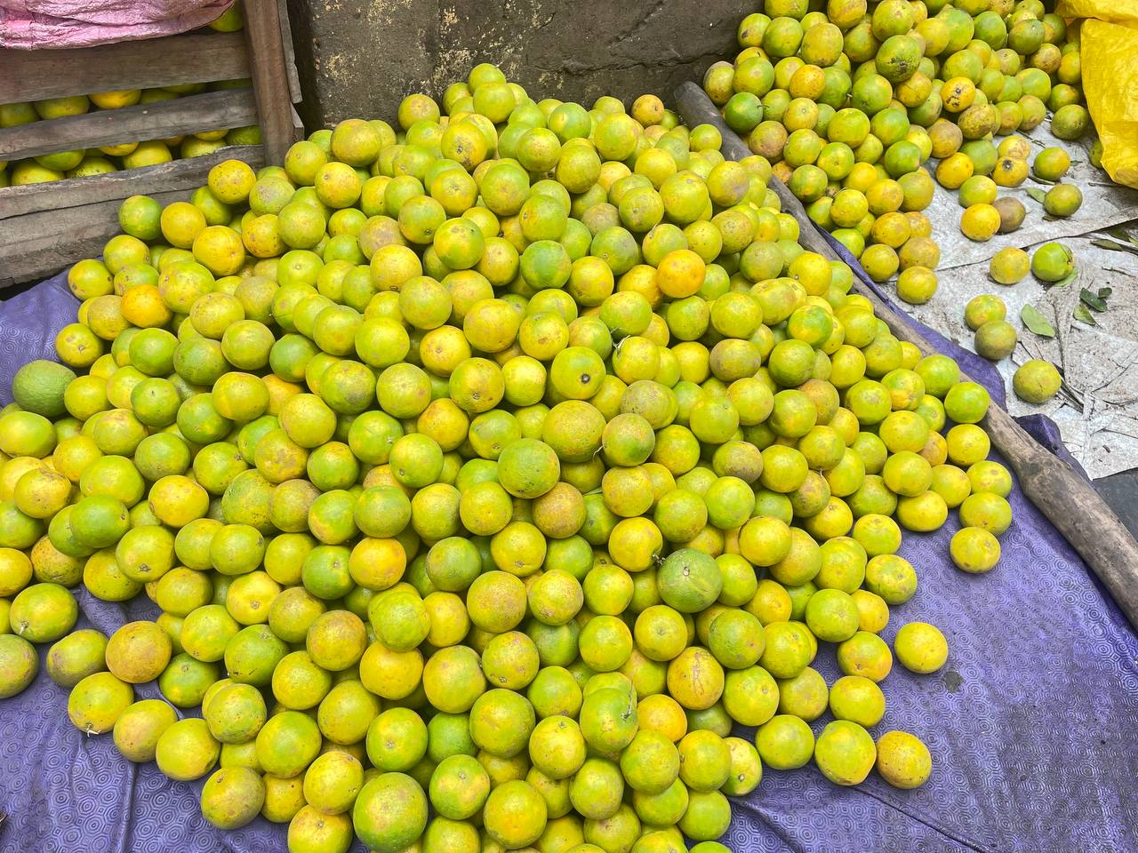 Oranges 2