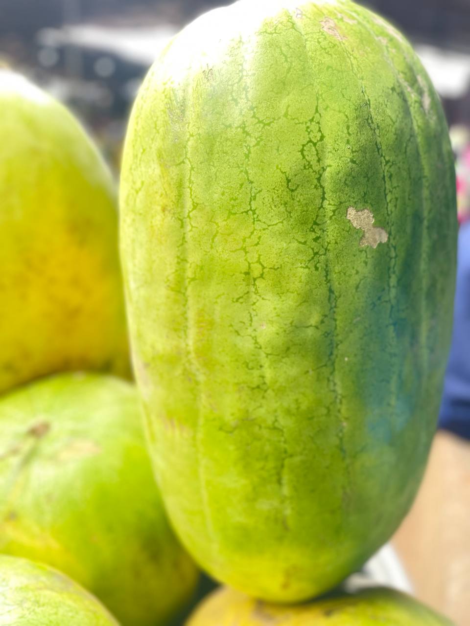 Watermelon