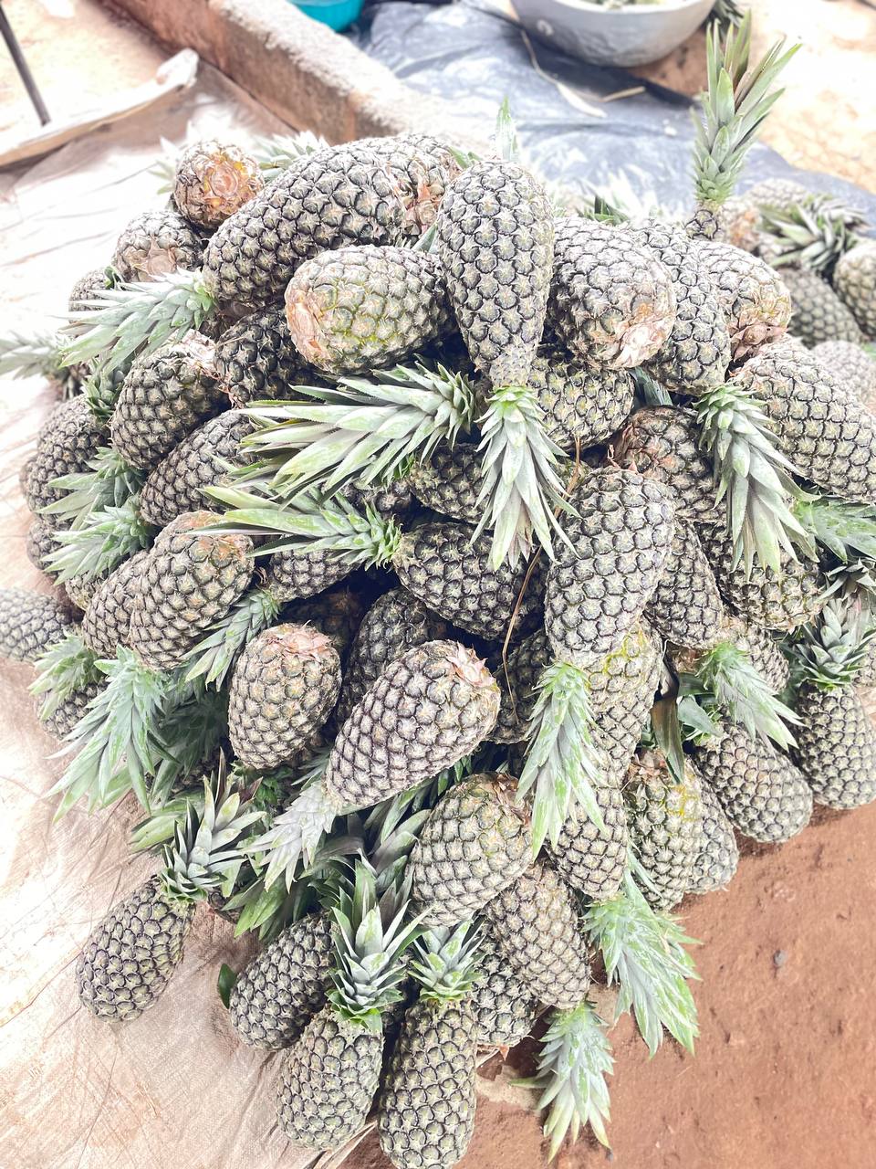 Pineapple