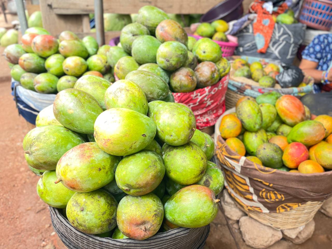 Mango 2