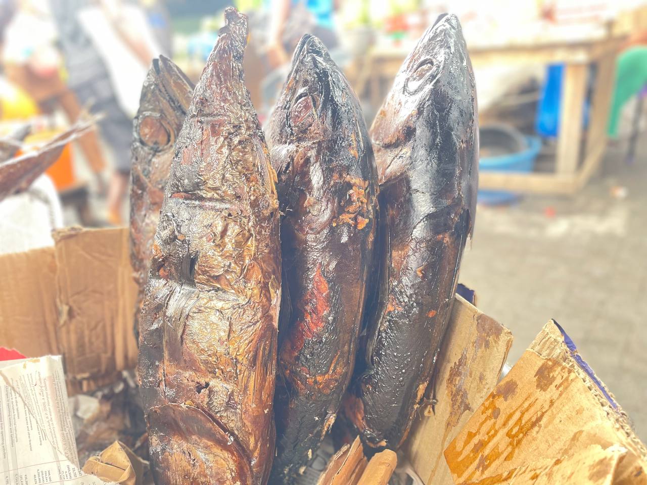 Fresh Tuna