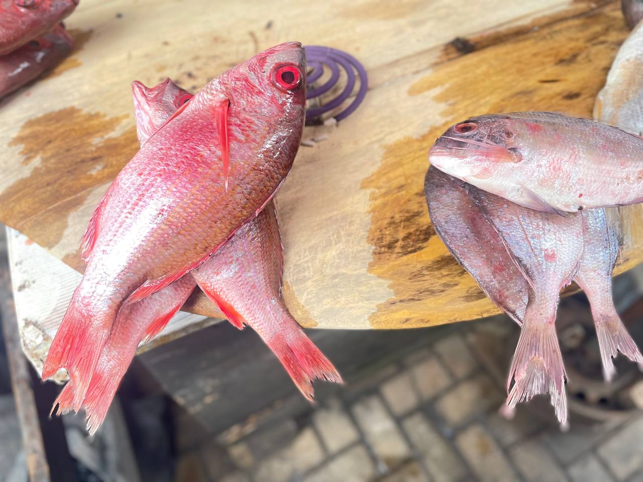 Red Fish (Ehu)