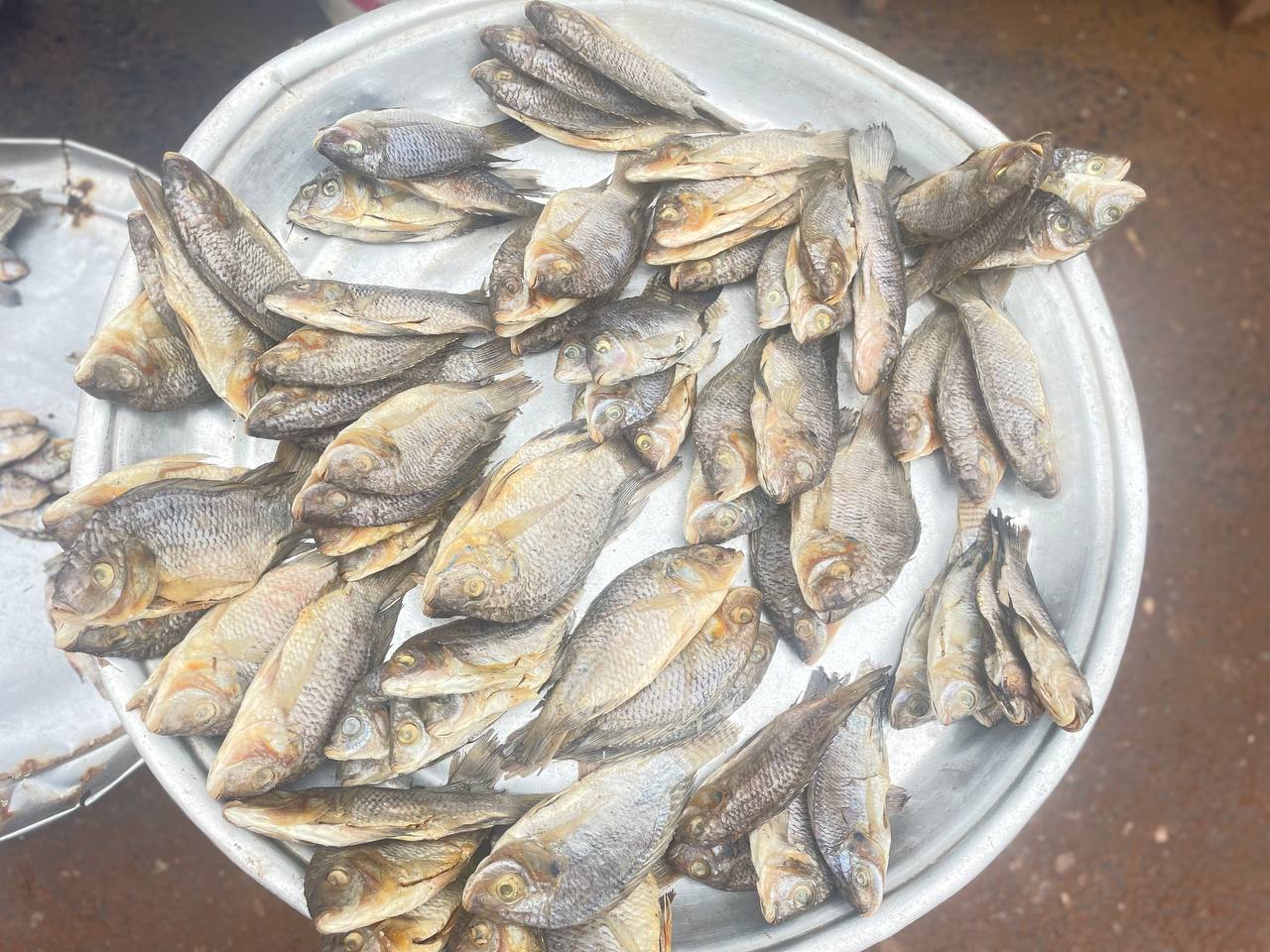 Momoni (Fermented Fish) 3