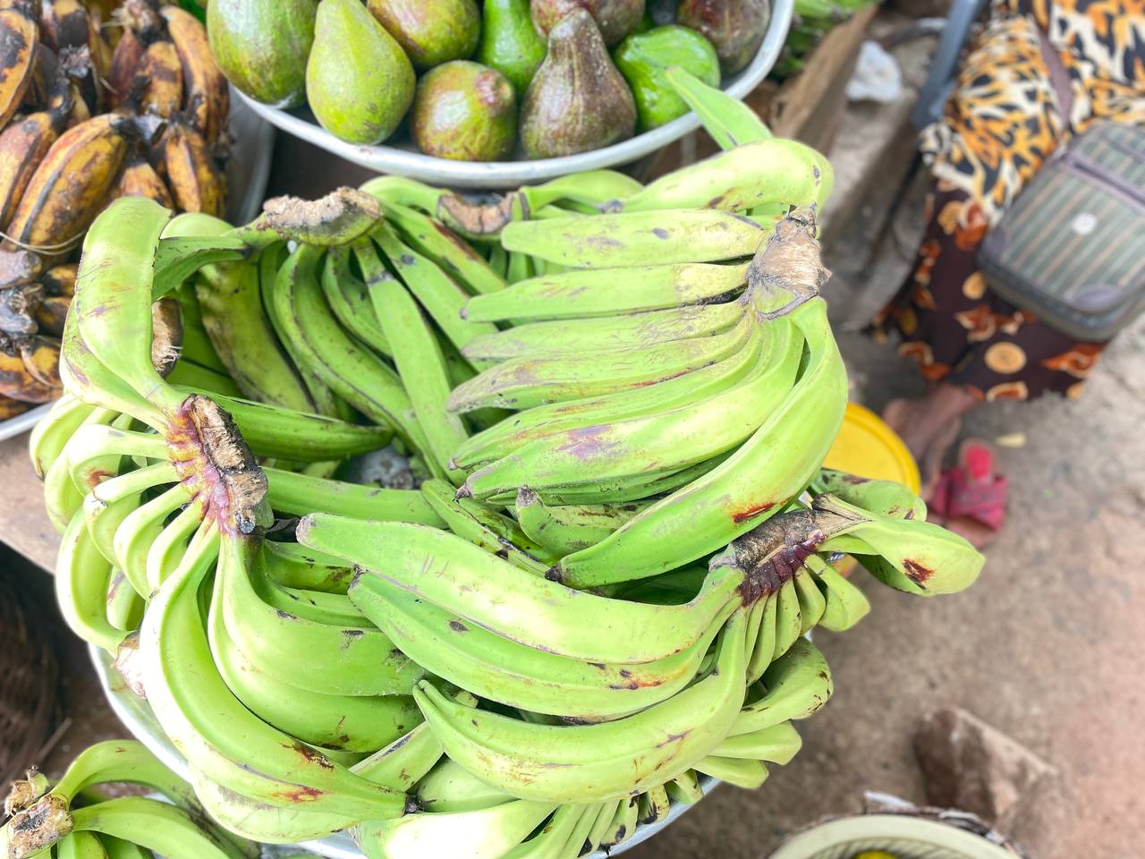 Green Plantain (Apem)