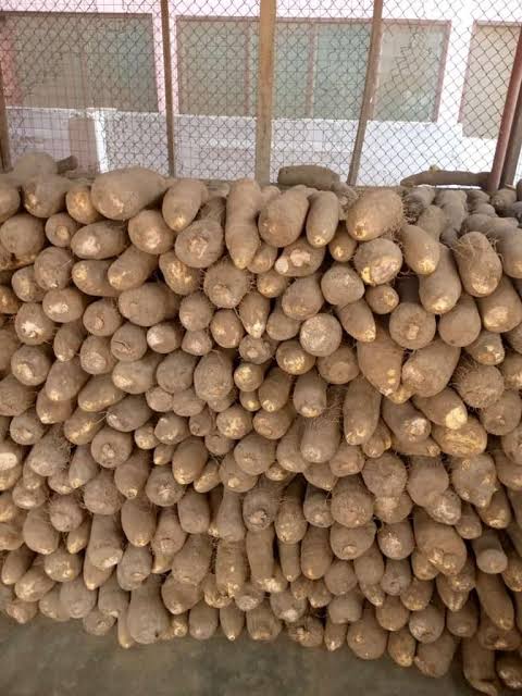 Yam 2