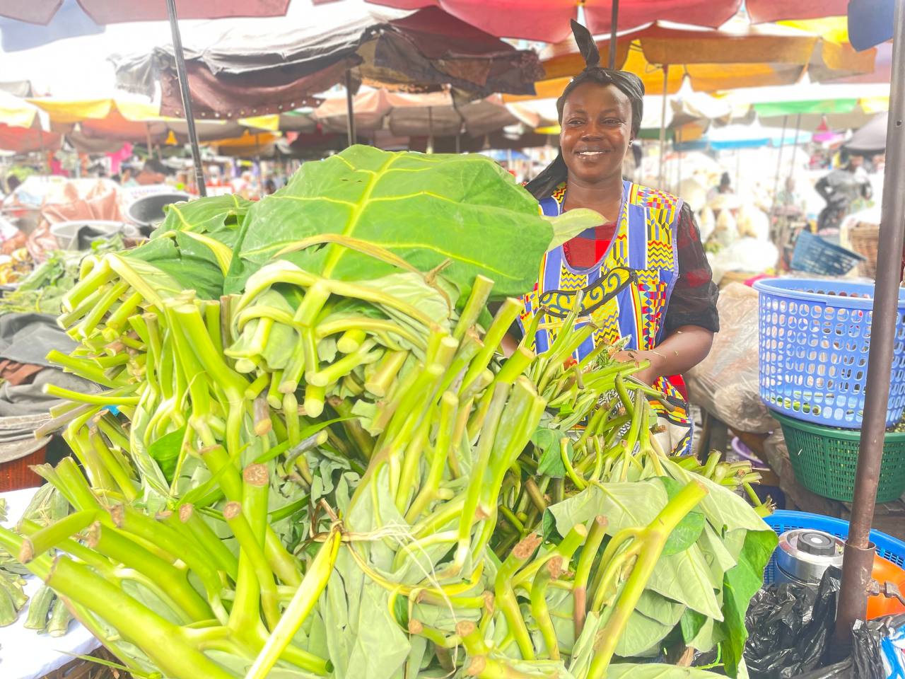 Fresh Kontomire Leaves