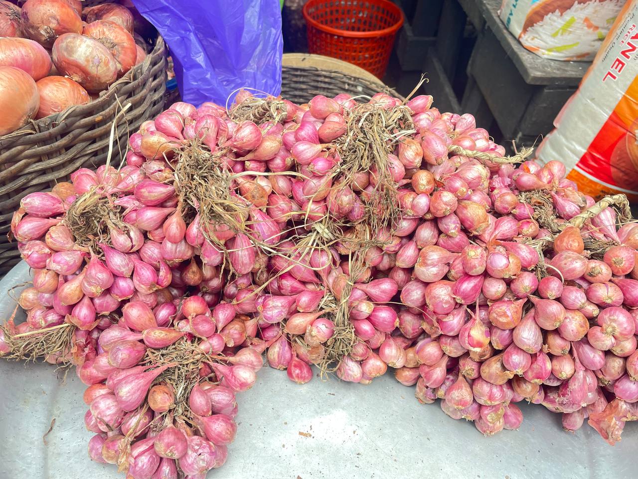 Shallots