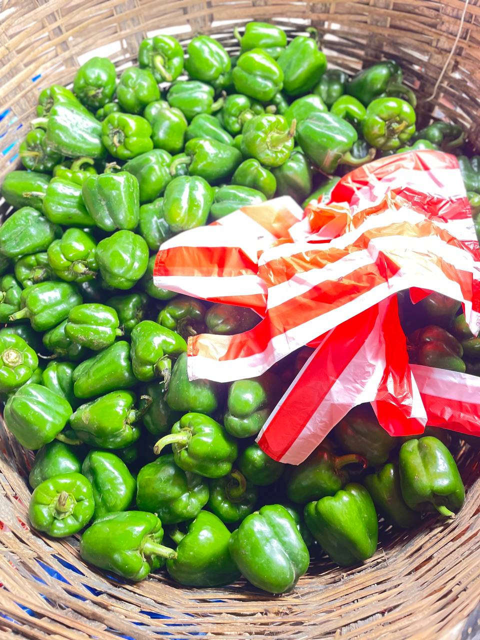 Green Bell Pepper