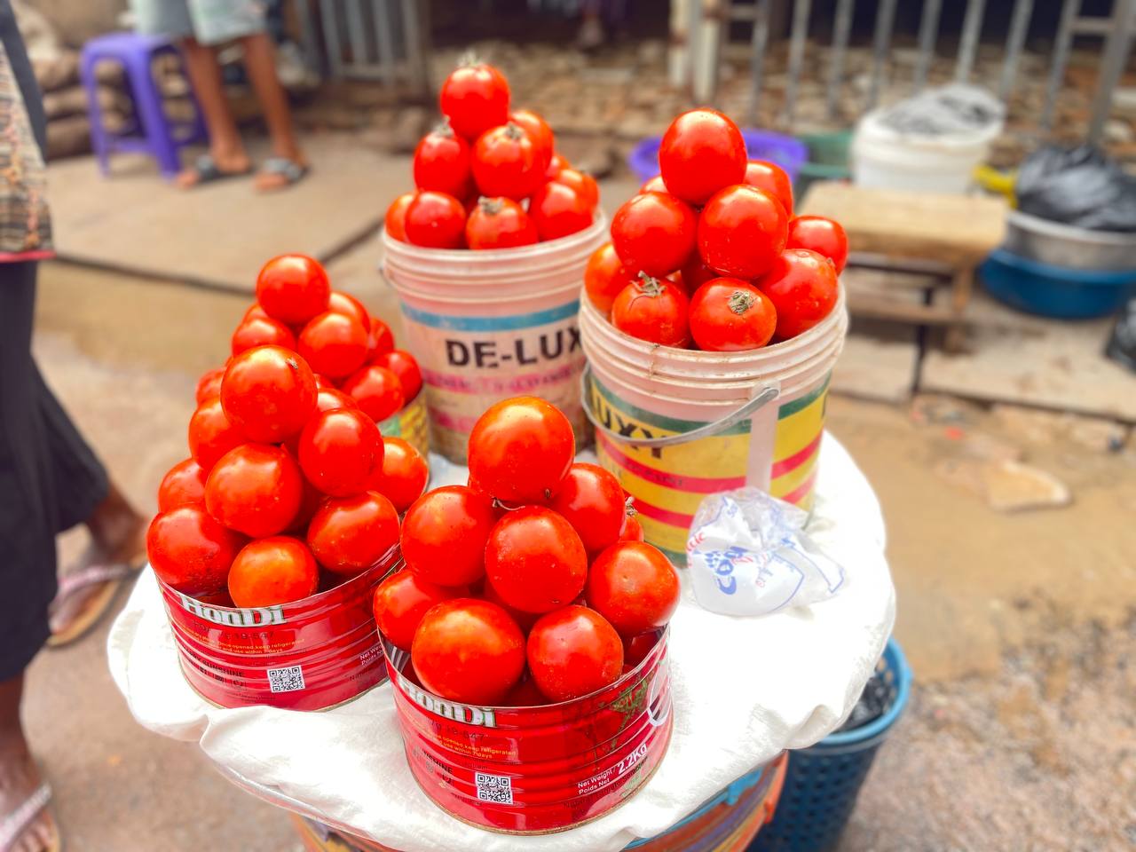 Fresh Tomatoes