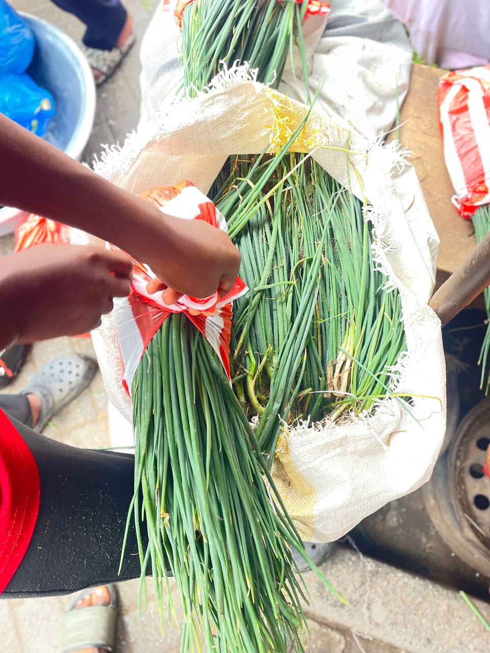 Spring Onions