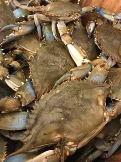 Fresh Crabs