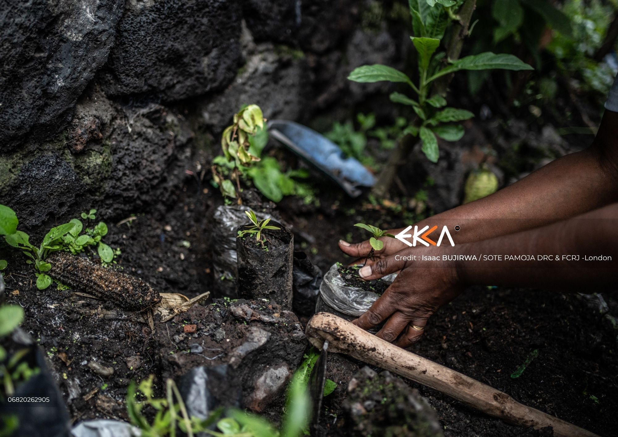 Peace Germinates in Volcanic Stone | From Survival To Governance