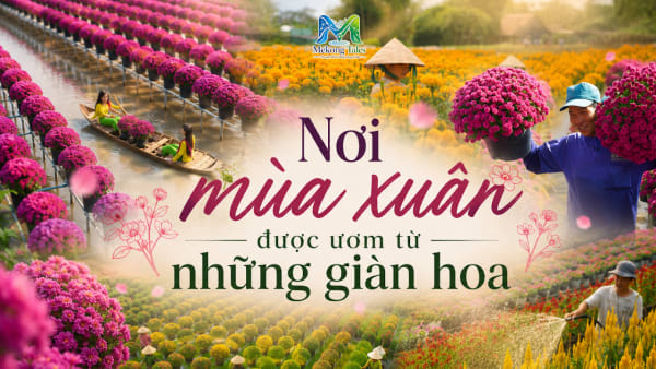 Những giàn hoa nở rộ tại làng hoa miền Tây dịp giáp Tết