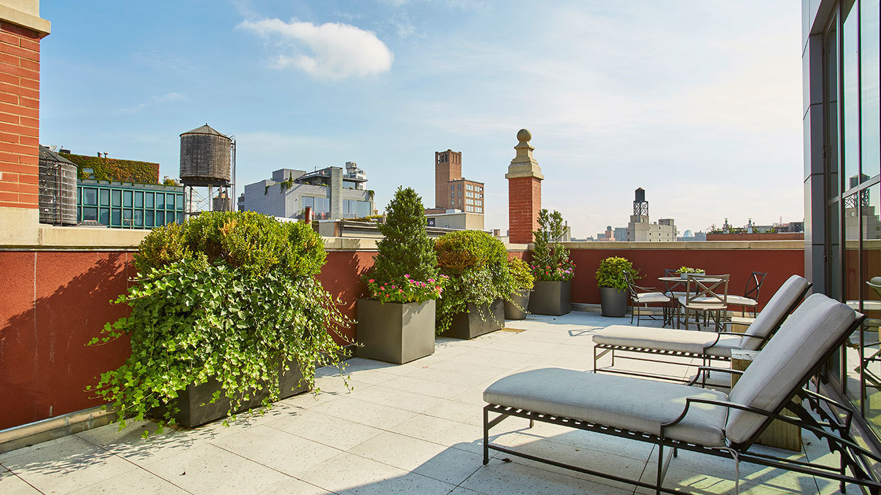 Rooftop terrace