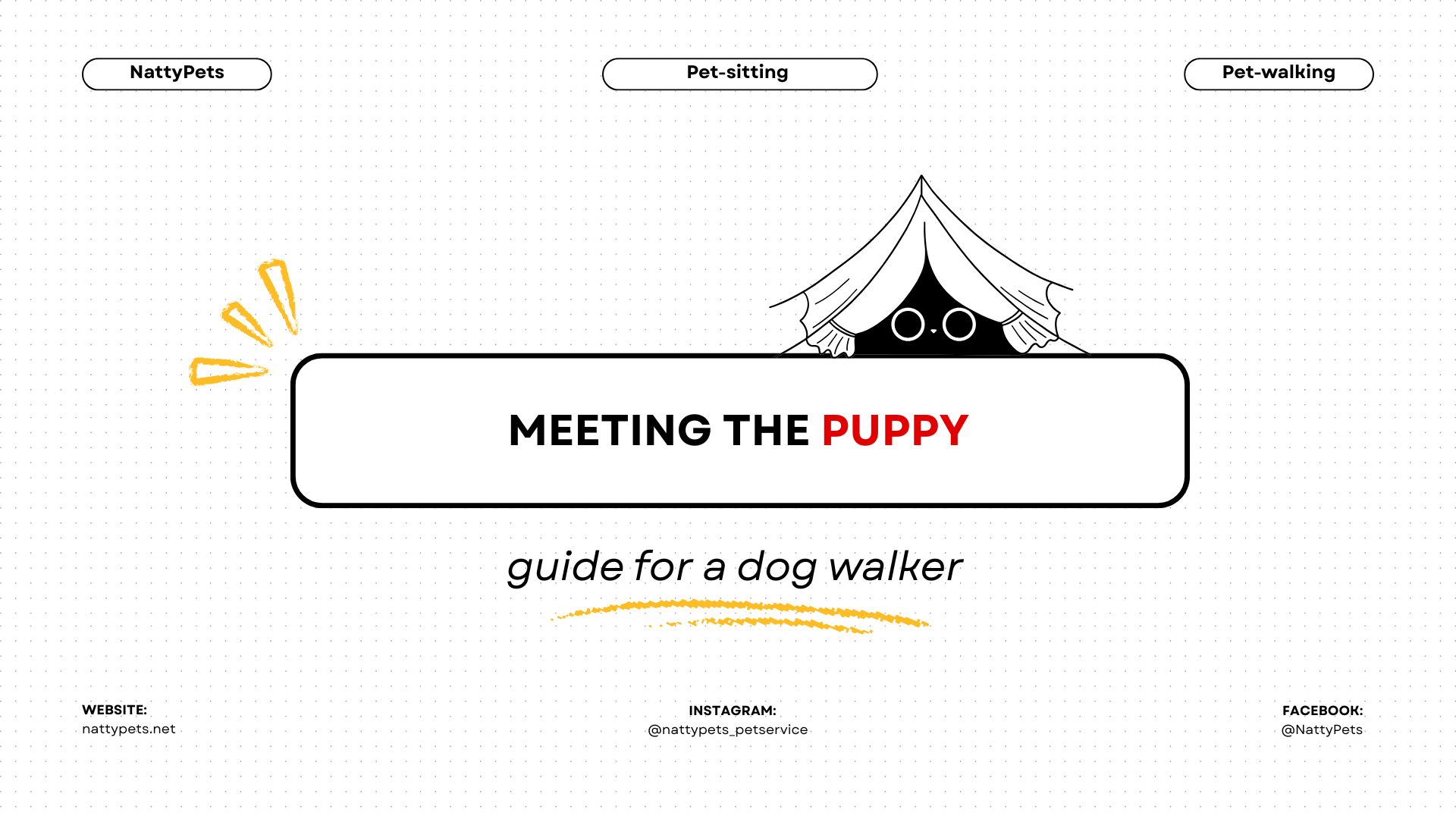 Your First Walk With an Unfamiliar Dog: A Checklist for Dog Walkers