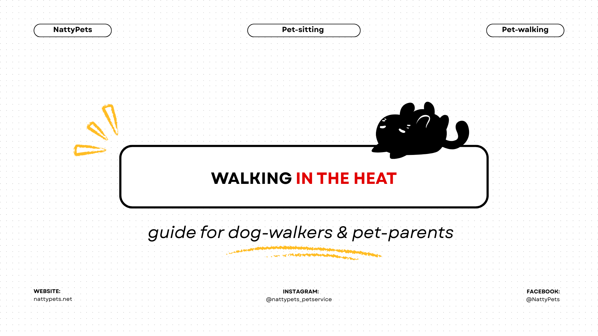 How I Almost "Cooked" My Dog on the Asphalt (and How You Can Avoid It)