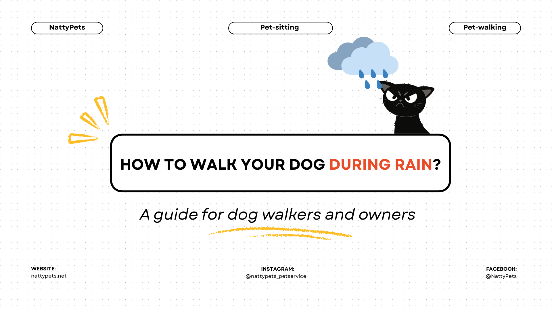 Why Dogs Refuse to Go Outside in the Rain: 3 Reasons and What to Do
