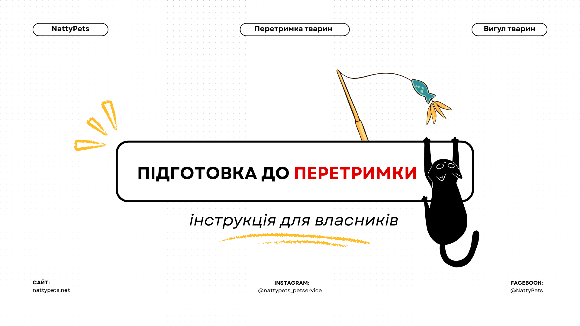 Як підготувати собаку або кота до перетримки: покрокова інструкція для турботливих власників