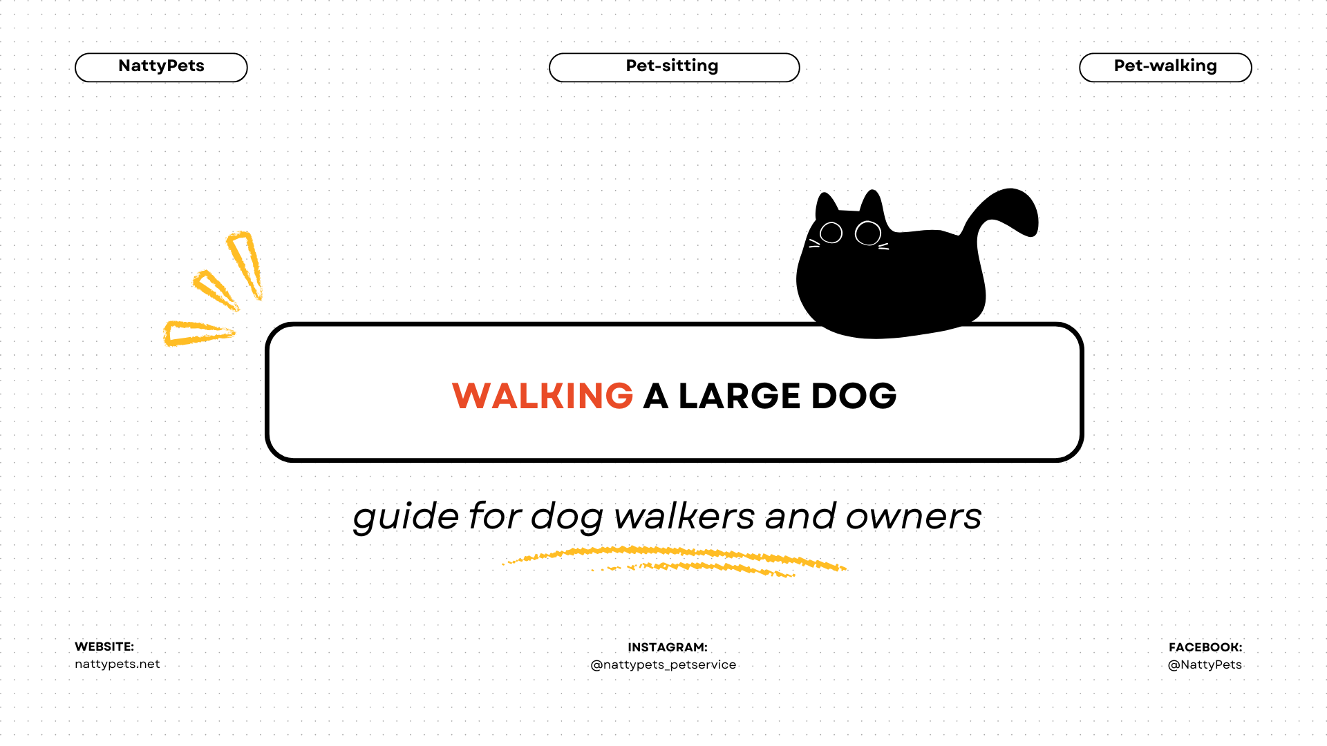 How We Taught Our 120-Pound Mastiff Mix, Rocky, to Stop Pulling on the Leash in Just 14 Days – A Client Success Story