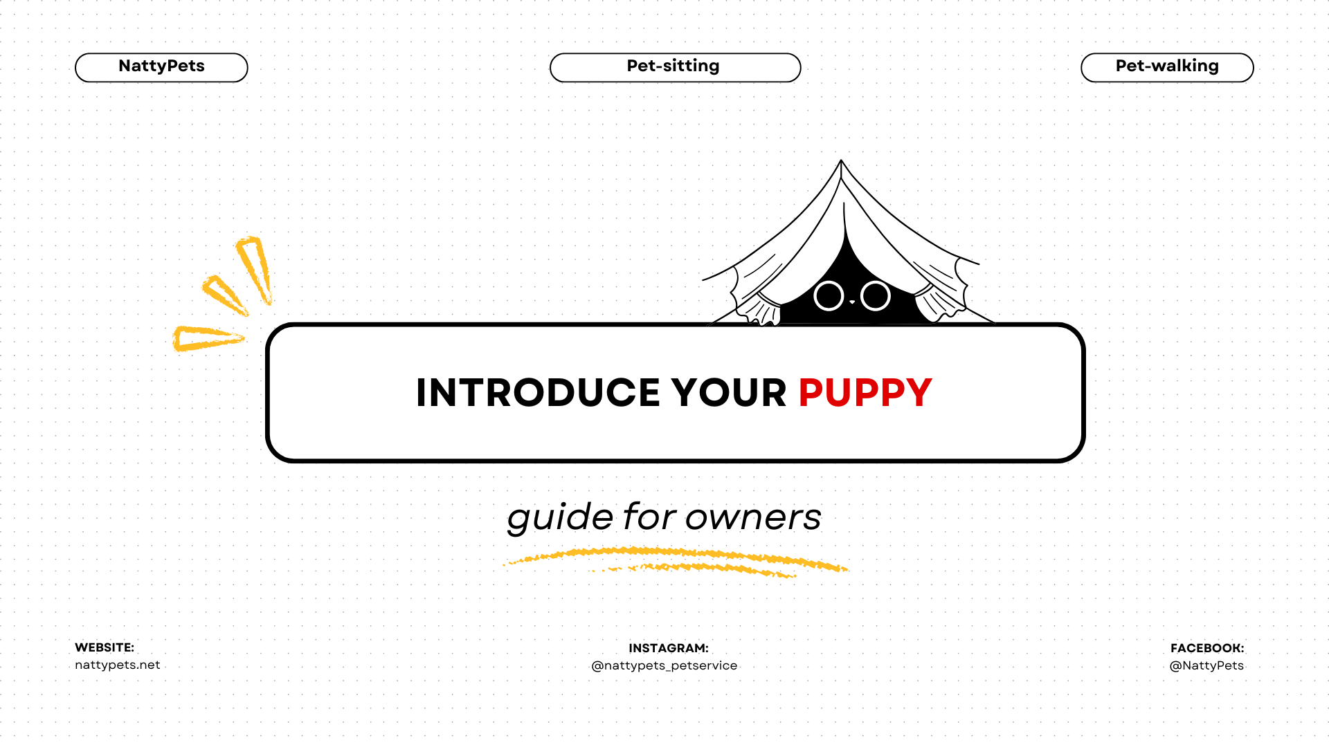 How to Introduce Your Puppy to a Dog Walker: A Step-by-Step Guide for Caring Owners