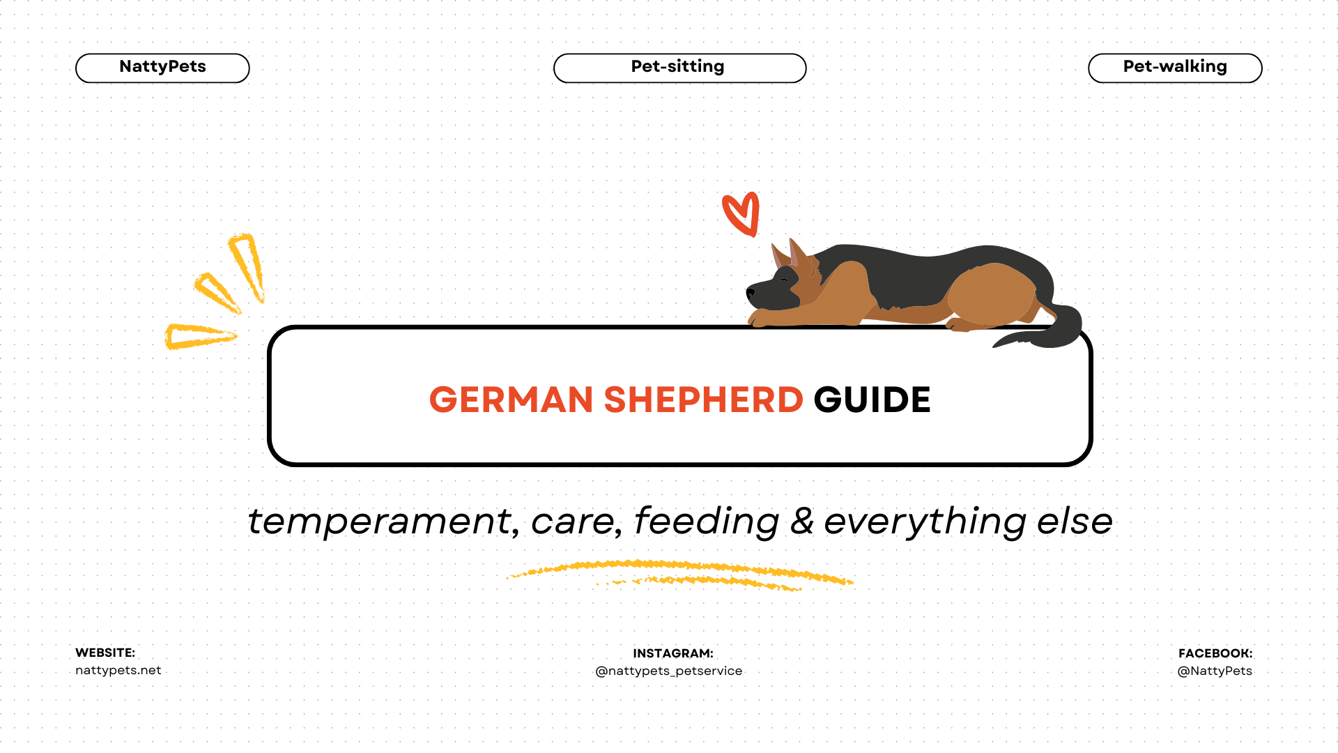 German Shepherd Guide - temperament, care, feeding & everything else