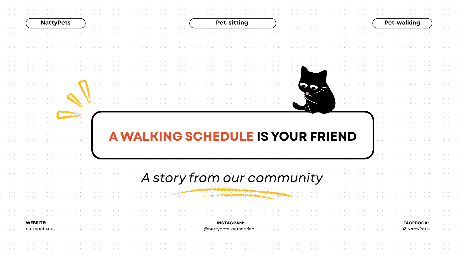 How We Lost a Client Over a Missed Walk: The Story of Schedules and 47 Minutes a Day