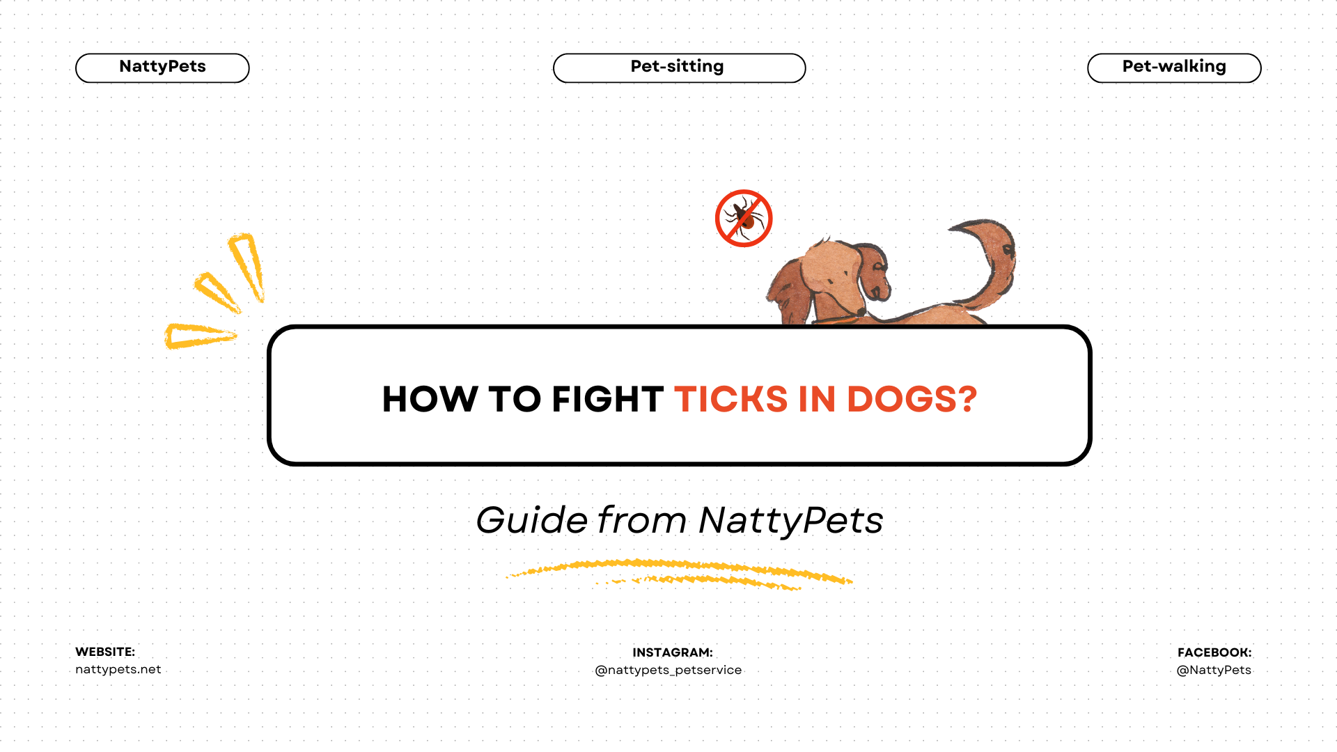 How to Fight Ticks in Dogs? | Guide from NattyPets
