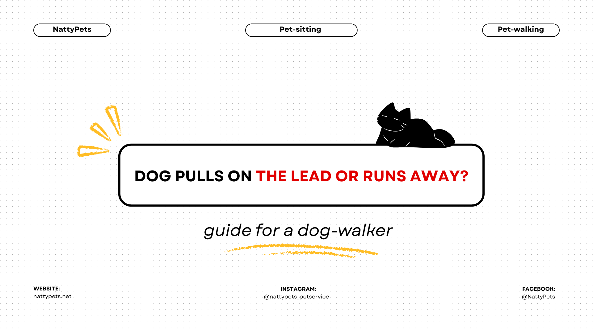 What to Do If Your Dog Pulls on the Lead or Runs Away?