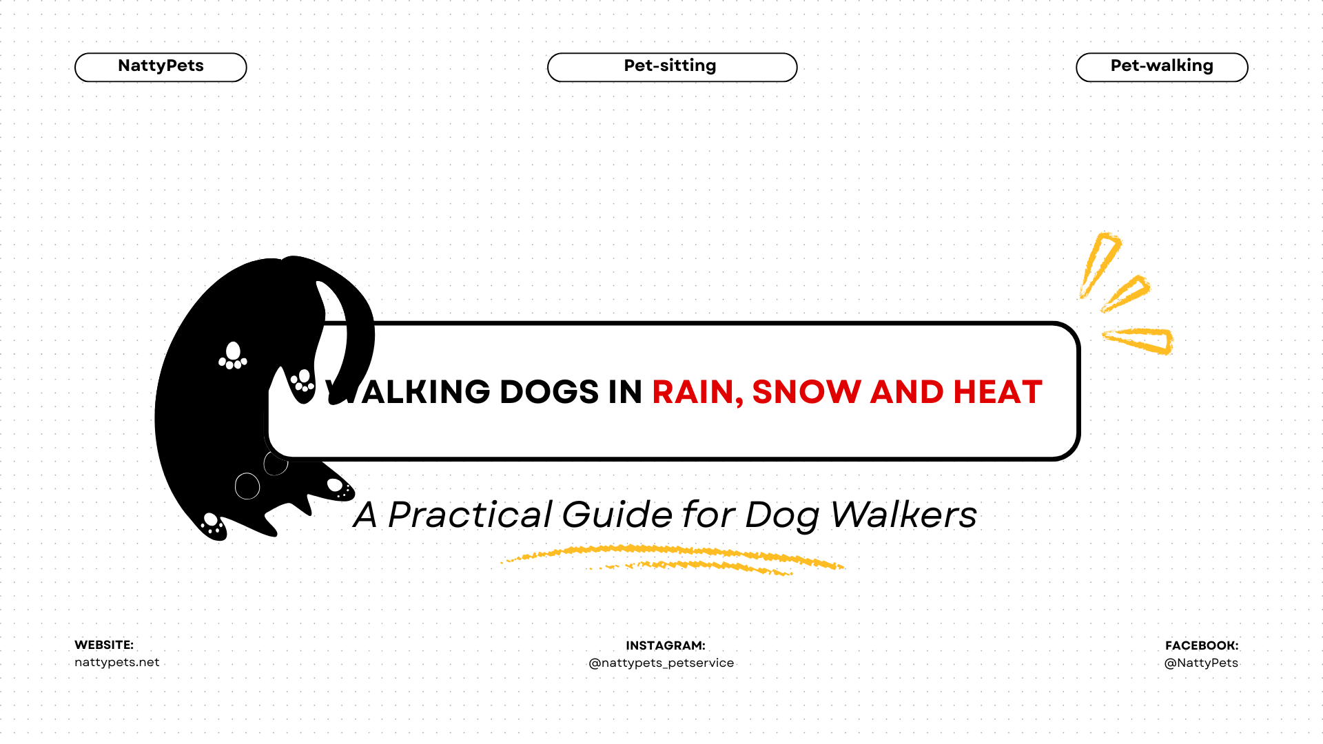 Walking Dogs in Rain, Snow and Heat: A Practical Guide for Dog Walkers