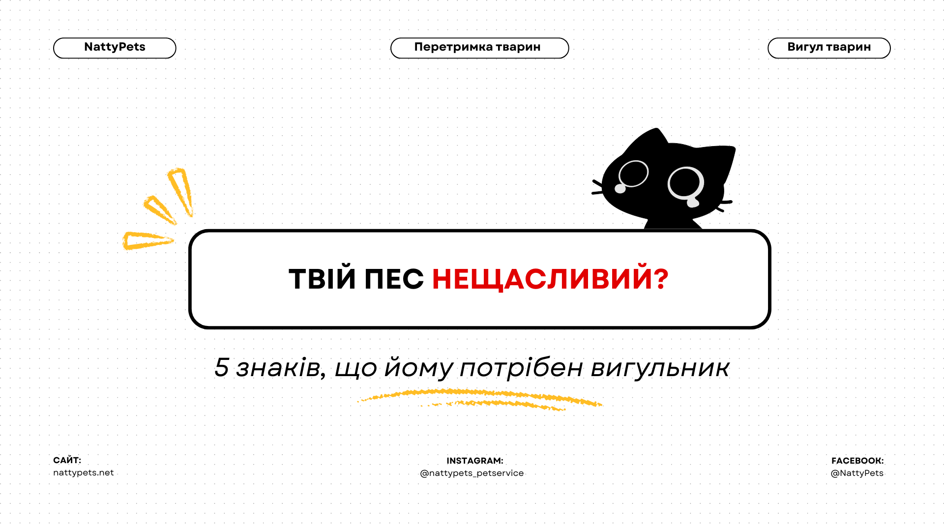 Твій собака нещасливий? 5 сигналів, що потрібен вигульник (і як його знайти за 5 хвилин)
