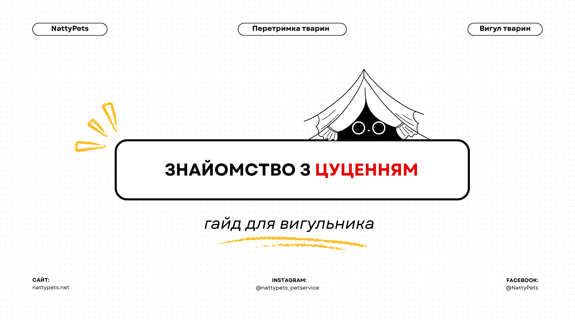 Перша прогулянка з незнайомим песиком: чек-лист для вигульника