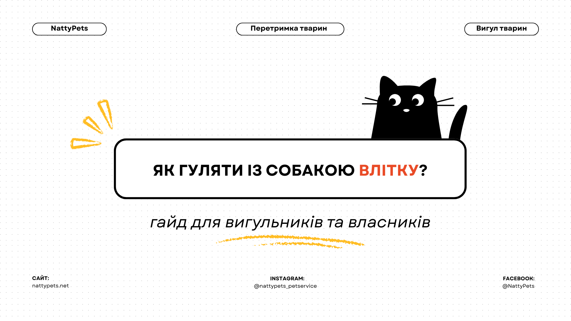 Опіки лап у собак: чому +30°C на термометрі = +67°C під лапами