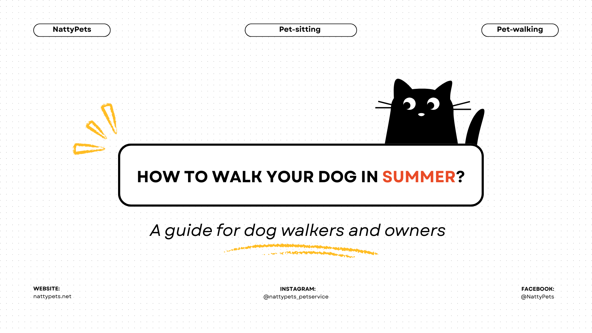 Burned Dog Paws: Why 86°F in the Air = 153°F Under Your Dog’s Feet