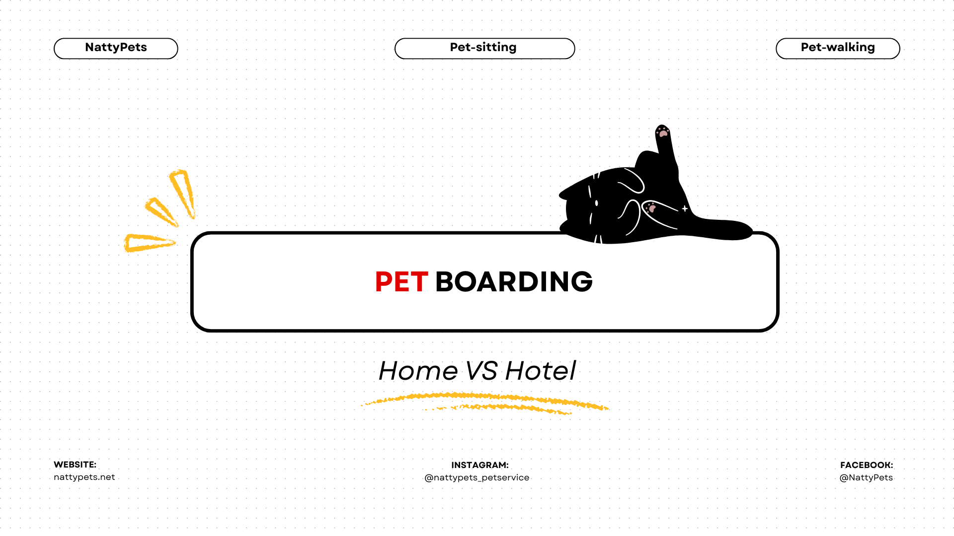 Home Pet Boarding or Pet Hotel: What’s Really Better for Your Fur Baby?