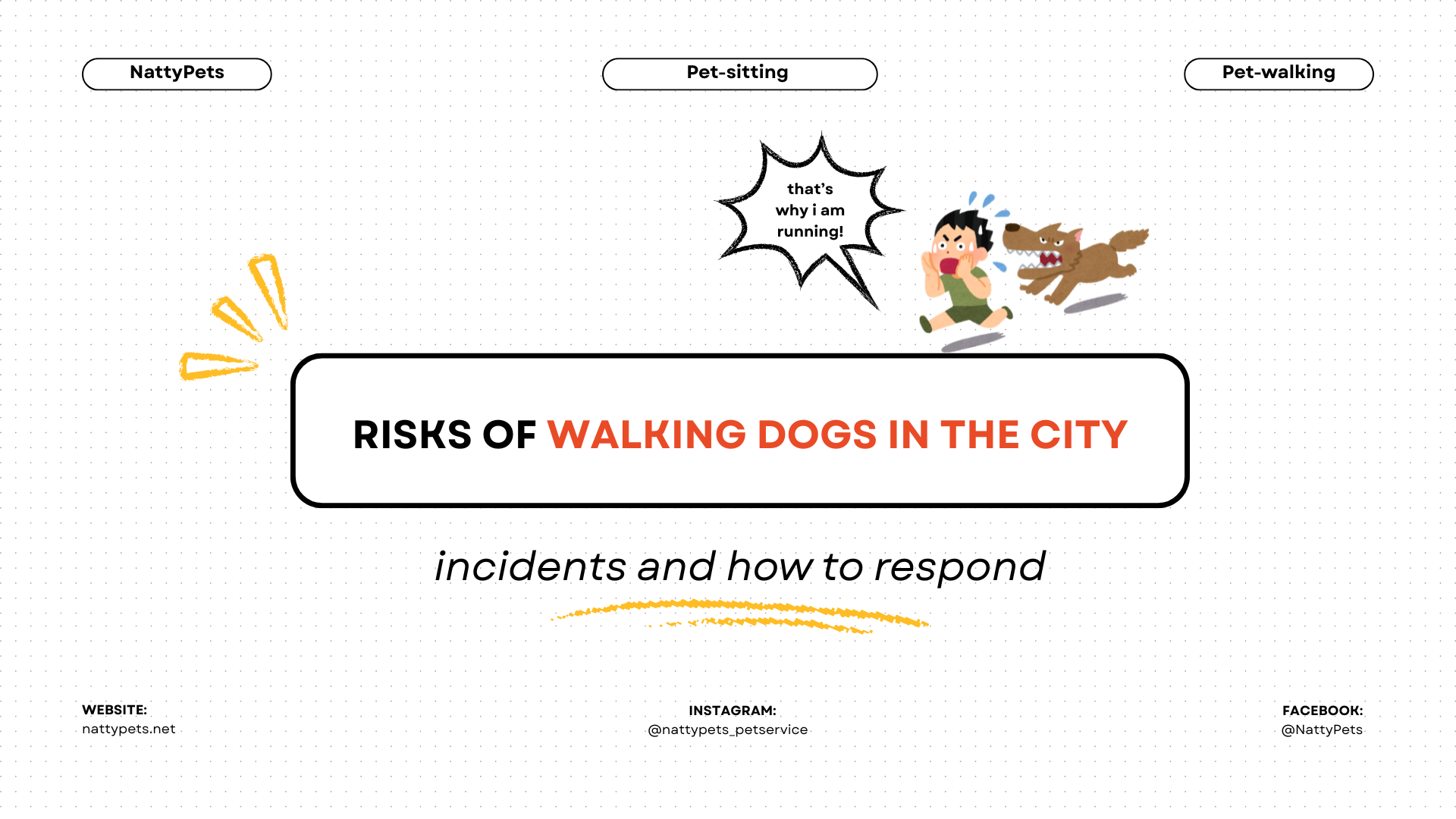 Risks of walking dogs in the city: incidents and how to respond