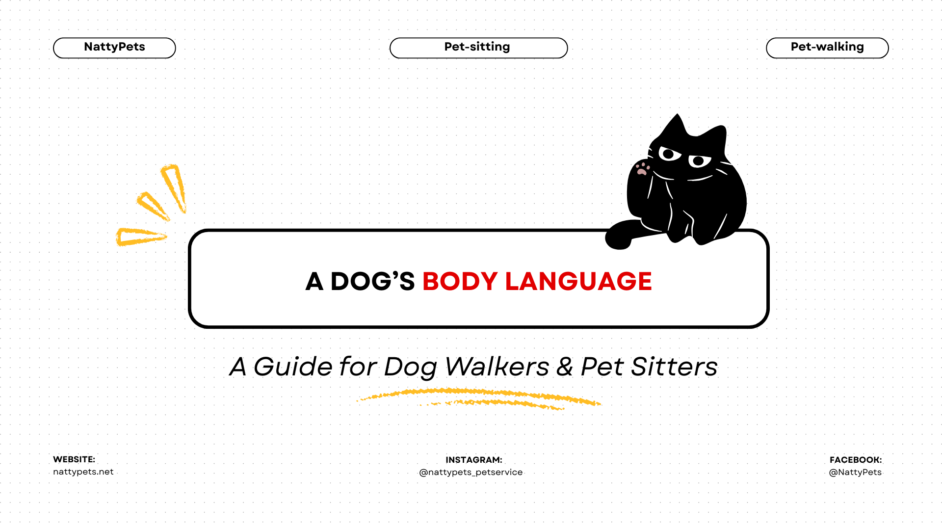 How to Read a Dog’s Body Language: A Guide for Dog Walkers & Pet Sitters