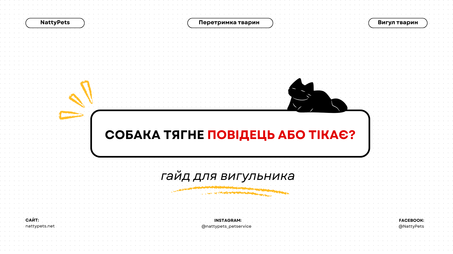 Що робити, якщо собака тягне повідець або тікає?